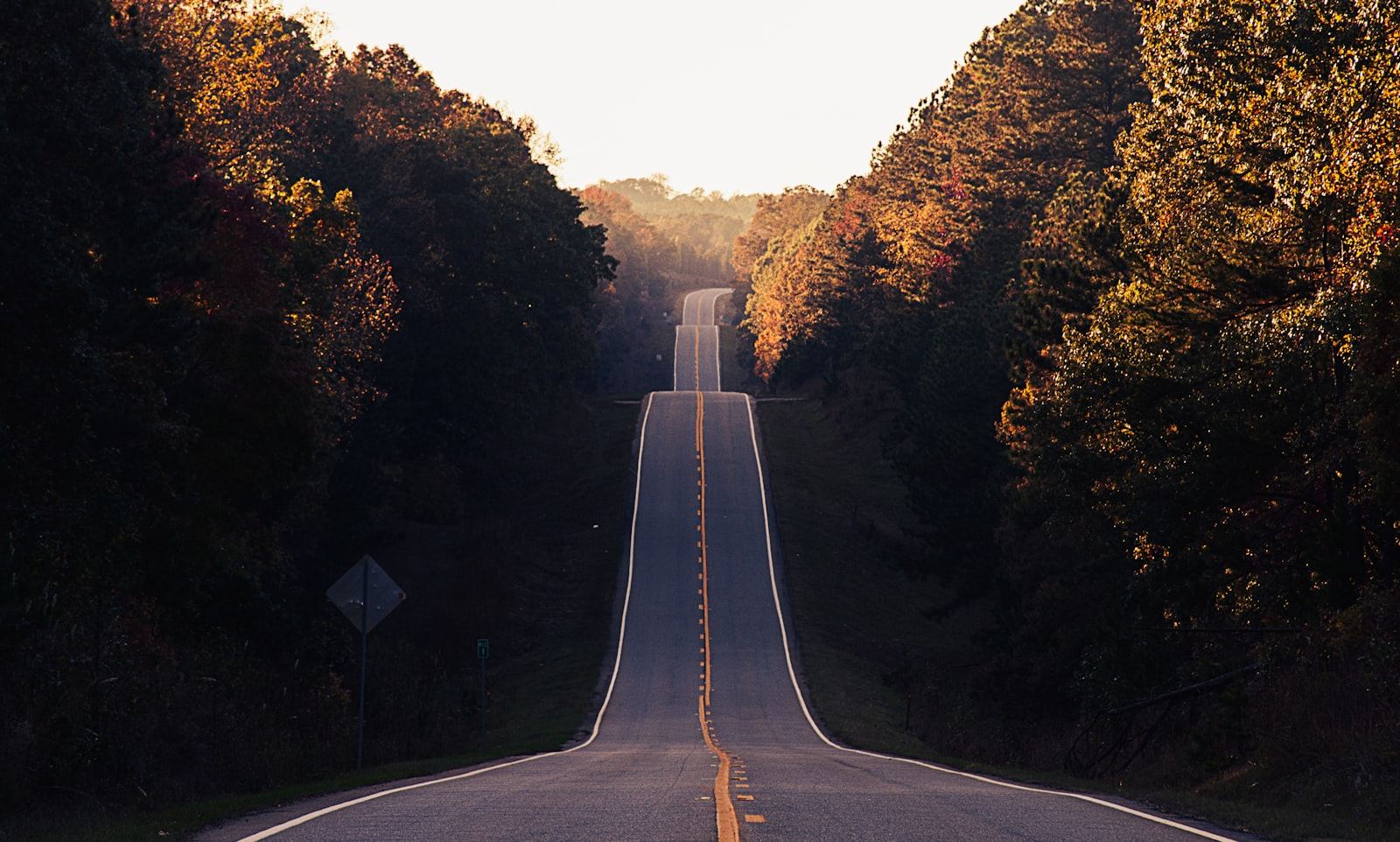 An open road winding through trees